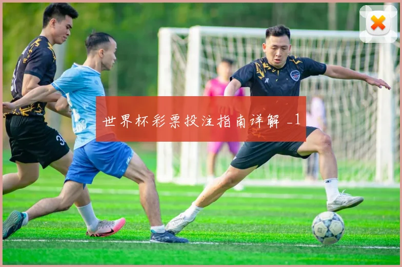 世界杯彩票投注指南详解 _1