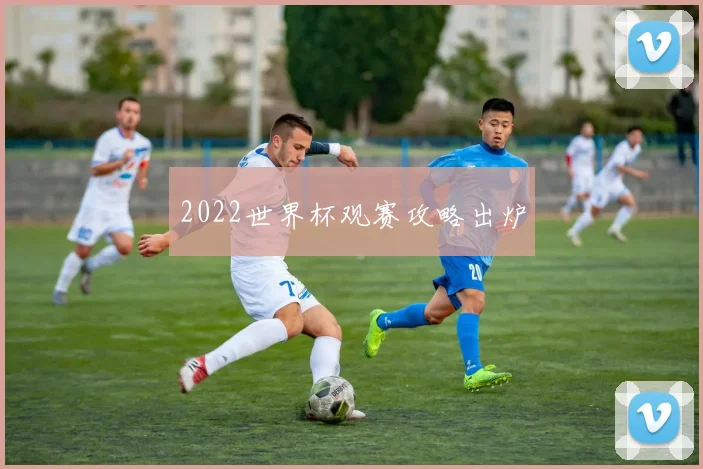 2022世界杯观赛攻略出炉